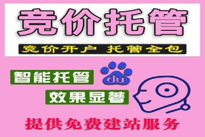 信息流广告投放公司案例分析报告
